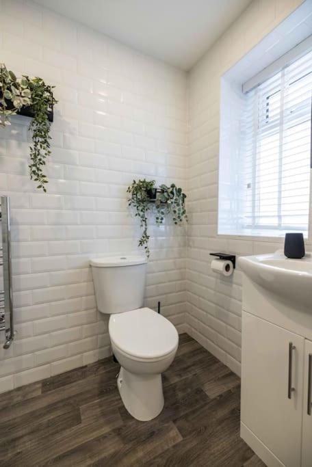 Albert Rd By The V Group Blackpool Exteriör bild